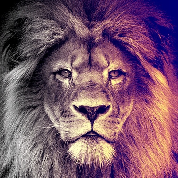 Profile Picture of Mariano Lucero (@mluc254) on Poshmark