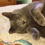 Profile Picture of Cassandra Welch (@mamacass_w) on Instagram