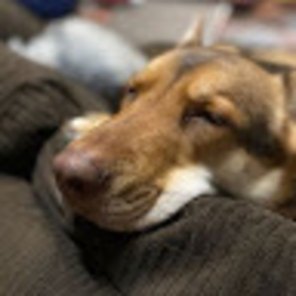 Profile Picture of Rueben Wilkerson (@ruebenwilkerson) on Poshmark