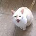 Profile Picture of Paul Tullis (@ptullis71) on Pinterest