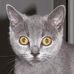 Profile Picture of Richard Sedlák (@richard.sedlak.7374) on Facebook