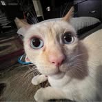 Profile Picture of Loren Bittner (@FootLettuce333) on Facebook