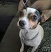 Profile Picture of Patrick McRee (@patrick.mcree.18) on Facebook
