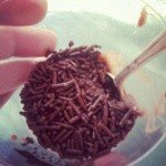 Profile Picture of McAlister (@berty35mqljammie) on Instagram