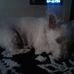 Profile Picture of Kevin Stueve (@kevinstueve.stueve.7) on Facebook