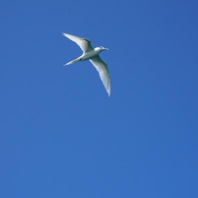 Profile Picture of Catherine Tao (@TaoCatherine) on Twitter