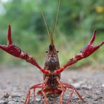 David Eric Ficken - Facebook Profile Picture of David Eric Ficken (@david.e.ficken) on Facebook