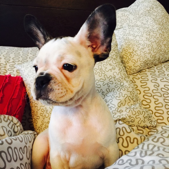 Profile Picture of Claudia Wong (@lucas6511) on Poshmark