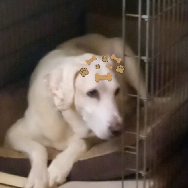 Profile Picture of bobbybuttons1 (@bobbybuttons1) on Tiktok