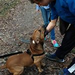 Profile Picture of Jake Hibbard (@exert_zombies) on Instagram