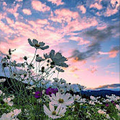 Profile Picture of Paul Clements (@paulclements2490) on Youtube