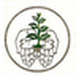 Profile Picture of Hamid Fallah Trading Co Llc (@hamid fallah trading co llc) on Flickr