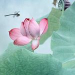 Profile Picture of Xueyan Liu (@snowing0722) on Instagram