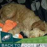 Rose Mckee - Instagram Profile Picture of Rose Mckee (@rose.mckee) on Instagram