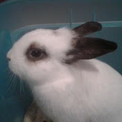 Profile Picture of Lennon Lover (@lennonlover9078) on Youtube