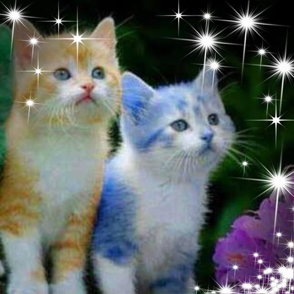 Profile Picture of Hoa Chau (@nguyde) on Poshmark