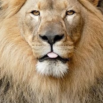 Profile Picture of David Ownby (@LostInk13) on Twitter