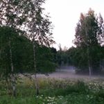 Profile Picture of James Longobardi (@gragnano721) on Instagram