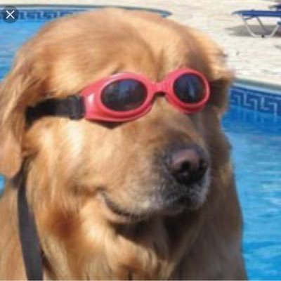 Profile Picture of Bryce Gamble (@Swazybryce) on Twitter