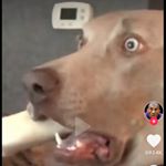 Profile Picture of Caleb Bain (@caleb_bain69) on Instagram