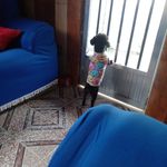 Wisonferreirabrandao Brandao - Instagram Profile Picture of Wisonferreirabrandao Brandao (@wilsonferreirabranda) on Instagram