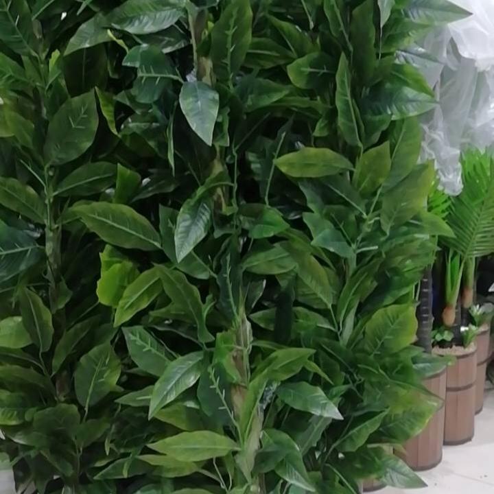 Profile Picture of نـورهـ ✌️💕 (@noort42) on Tiktok