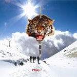 Profile Picture of James Moussa (@james.n.moussa) on Instagram