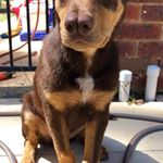 Profile Picture of Luke Gleeson (@luke_gleeson24) on Instagram