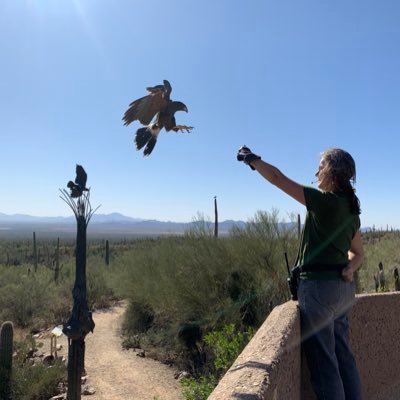 Profile Picture of Dr. Pam Bell Rossetter  🇺🇸 (@pamelabell64) on Twitter