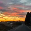 Profile Picture of Joseph Gale (@joseph.gale67) on Tiktok