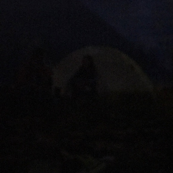 Profile Picture of Clayton Nichols (@claytonjay4) on Poshmark