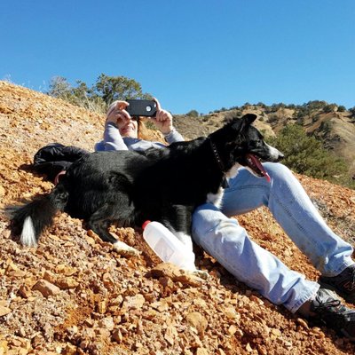 Profile Picture of Ann Bradford (@AnnBrad14237226) on Twitter