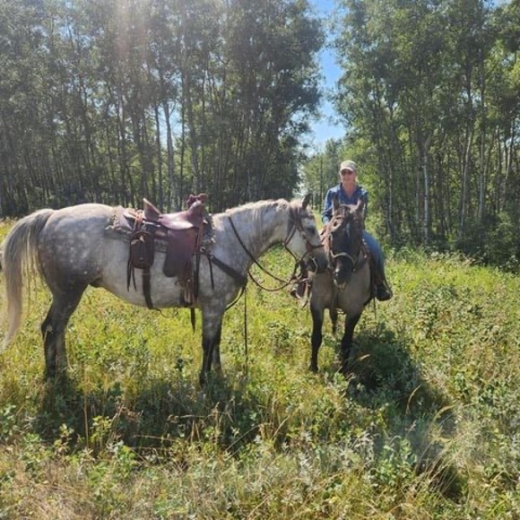 Profile Picture of Dawn Lancaster (@dawnlancaster10) on Poshmark