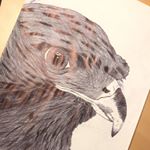 Profile Picture of Justin Worden (@sketching_practic) on Instagram