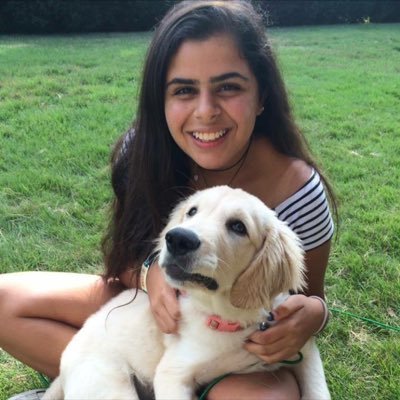 Profile Picture of Zenia Irani (@iranizenia) on Twitter