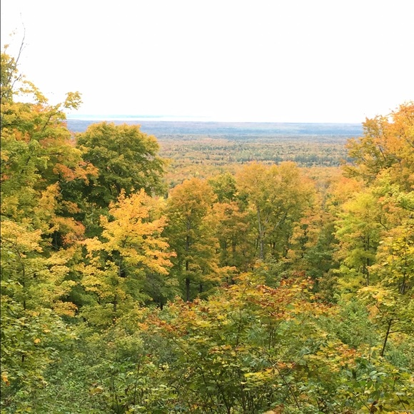 Taryn Mleko - Poshmark Profile Picture of Taryn Mleko (@tarynmleko) on Poshmark