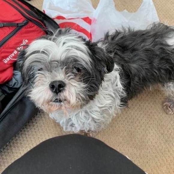 Profile Picture of Dani Uretsky (@dani_horwitz) on Poshmark