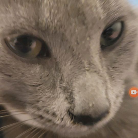 Drew.Micheal.Nichols - Tiktok Profile Picture of Drew.Micheal.Nichols (@drew.micheal.nichols) on Tiktok