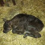 Profile Picture of lottin Christopher (@lottinchristopher) on Instagram