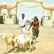 Profile Picture of Zeynu Mohammed Afar (@zeynumohammedafar8895) on Youtube