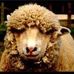 Profile Picture of Bill Stammer (@bill.stammer.1) on Facebook