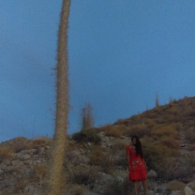 Profile Picture of Claudia Partida (@Claudia_FPI) on Twitter
