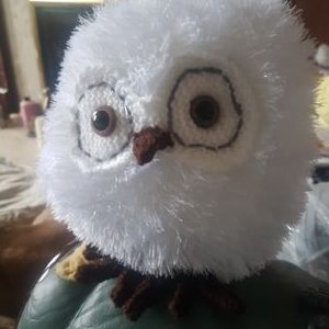 Profile Picture of Karen Burden (@KarenBu03911399) on Twitter