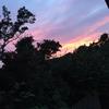 Profile Picture of Rebecca Pritchard (@@rebeccapritchard09) on Tiktok