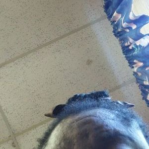 Profile Picture of Pamela Rochelle (@PamelaRochell10) on Twitter