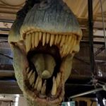 Profile Picture of paul Snelgrove (@yassermarrowfat) on Instagram