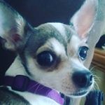 Profile Picture of Hilda ( Paola) (@hildabadillopaola) on Instagram