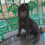 Profile Picture of Matthew J Wetherilt (@mattjwetherilt) on Facebook