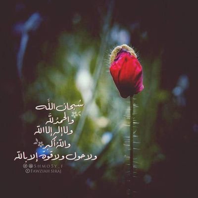 Profile Picture of Mohamed Nagi (@mohamednagi72) on Twitter