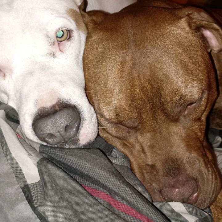 Profile Picture of Jason (@rcozzmic) on Tiktok